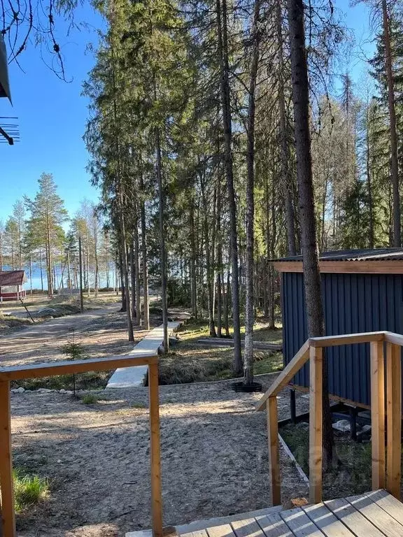 Дом в Карелия, Пряжа пгт ул. Сосновый Бор, 6 (25 м) - Фото 1