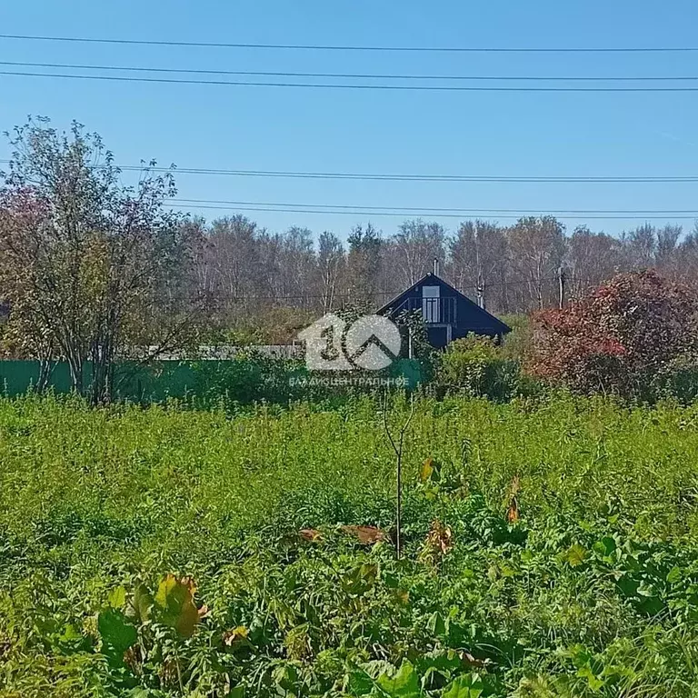 Дом в Новосибирская область, Колыванский район, Металлург СНТ ул. ... - Фото 0