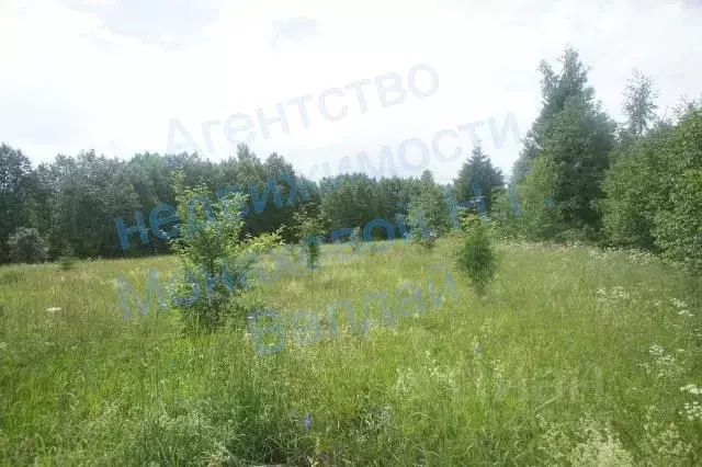 Участок в Новгородская область, Демянский район, д. Велье-Станы  ... - Фото 1