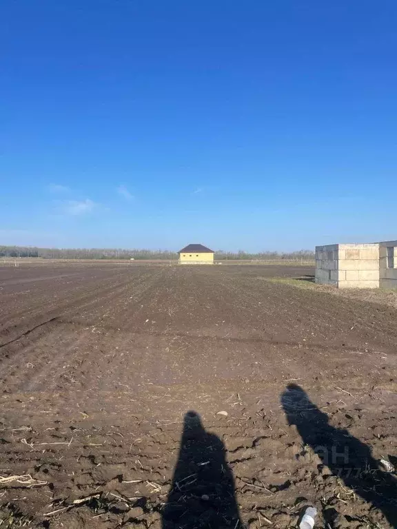 Участок в Карачаево-Черкесия, Прикубанский район, с. Ильичевское ... - Фото 1