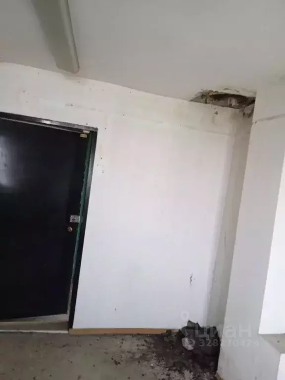 Помещение свободного назначения в Алтайский край, Барнаул ул. ... - Фото 2