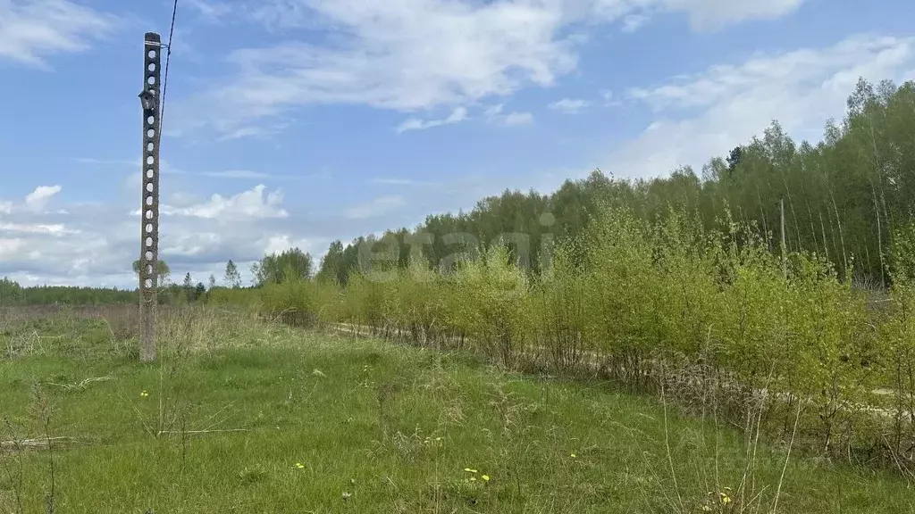 Участок в Владимирская область, Ковровский муниципальный округ, ... - Фото 2
