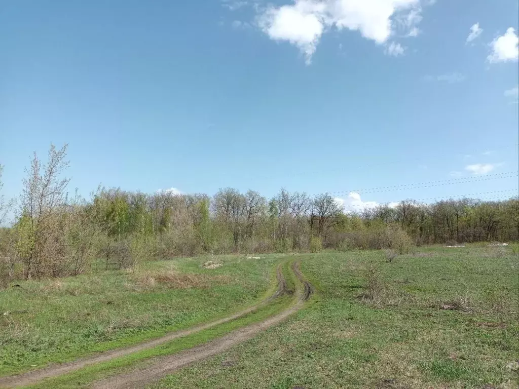 Участок в Самарская область, Волжский район, Смышляевка городское ... - Фото 1