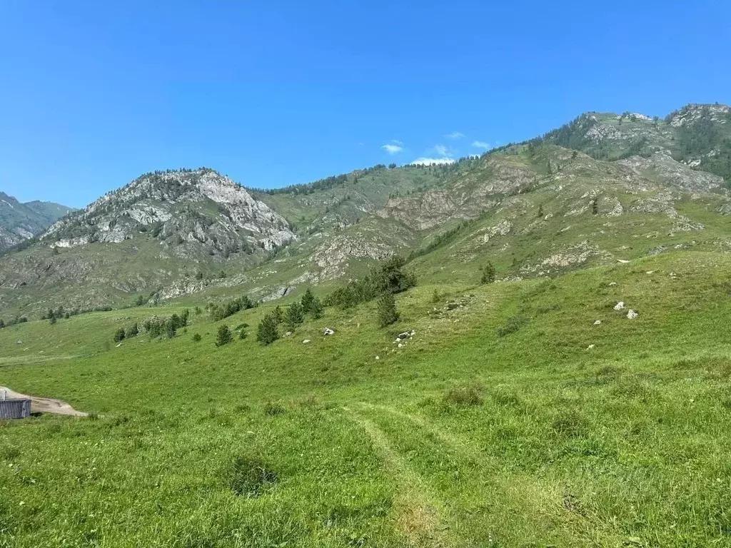 Участок в Алтай, Чемальский район, Чемальское с/пос  (2.3 га.) - Фото 2