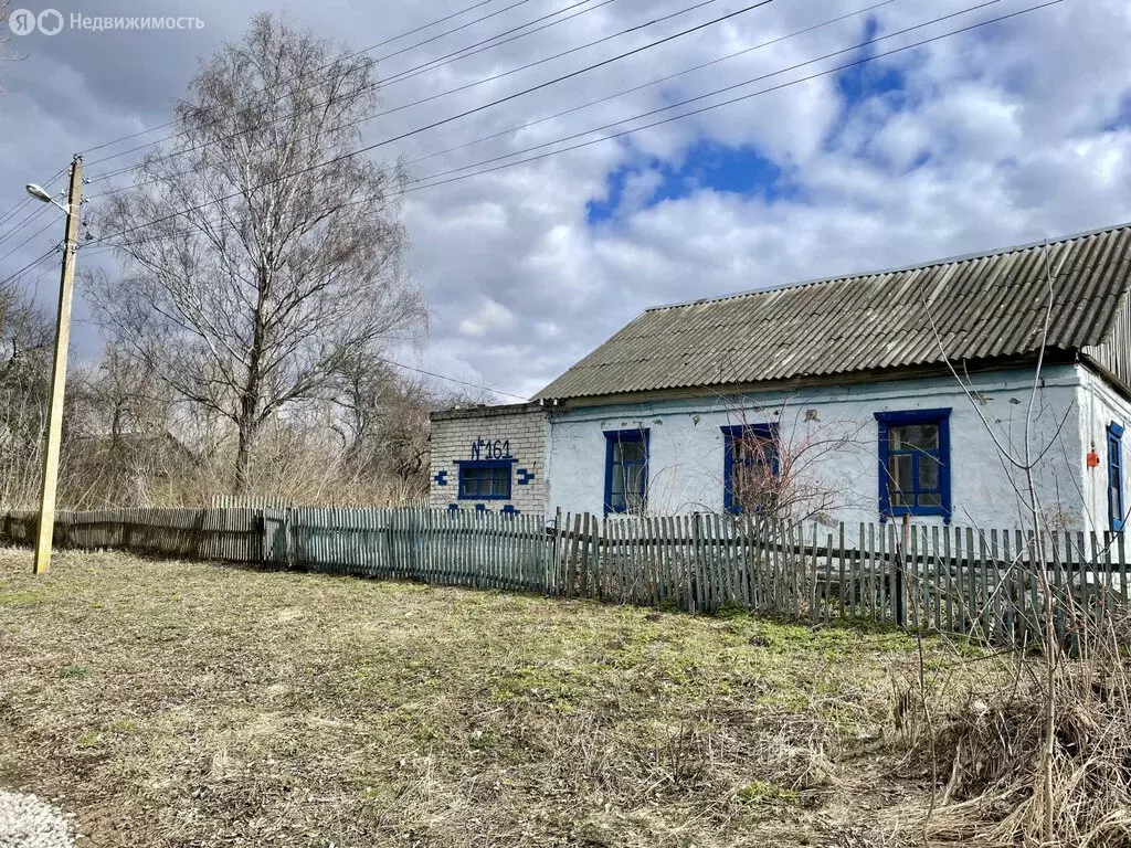 Участок в деревня Староселье, Центральная улица, 161 (61 м) - Фото 1
