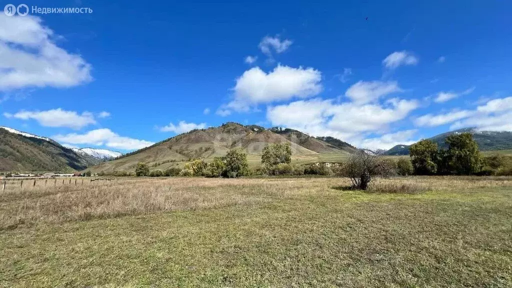 Участок в Усть-Коксинский район, село Чендек (18 м) - Фото 1