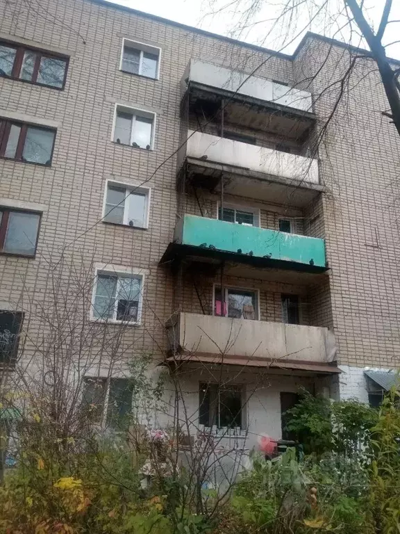 Студия Кировская область, Киров ул. Менделеева, 9 (11.6 м) - Фото 1