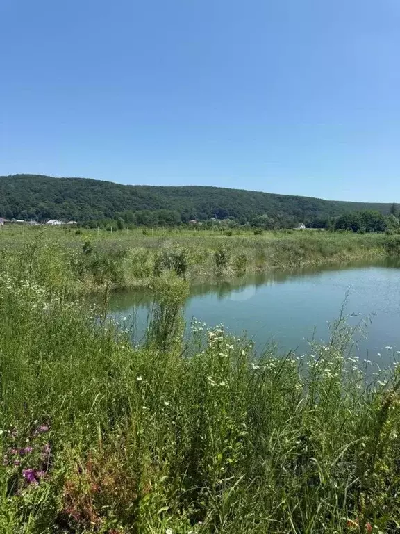 Участок в Адыгея, Майкопский район, Победенское с/пос, пос. Совхозный ... - Фото 1