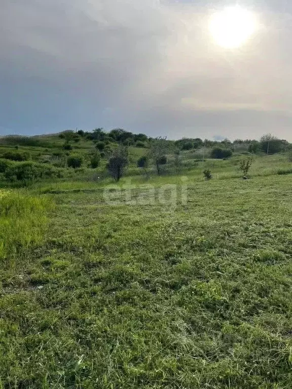 Участок в Ставропольский край, Шпаковский муниципальный округ, с. ... - Фото 2