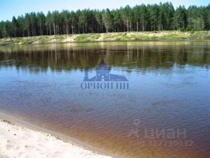 Участок в Нижегородская область, Ветлужский муниципальный округ, д. ... - Фото 1