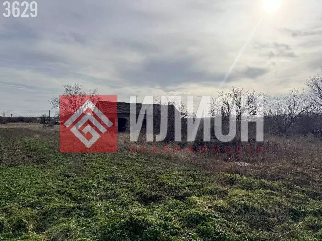 Участок в Крым, Кировский район, с. Абрикосовка ул. Сосновая (6.0 ... - Фото 2