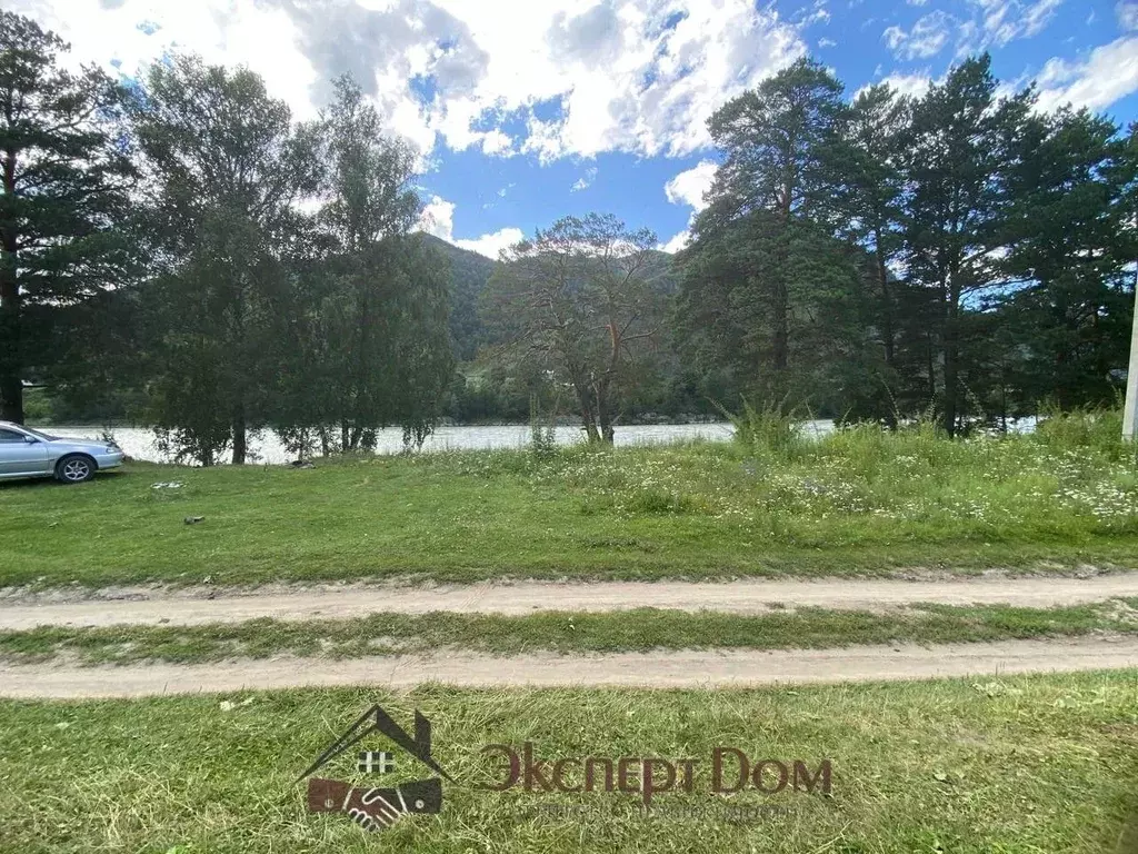 Участок в Алтай, Чемальский район, с. Чемал ул. Прикатунская (10.0 ... - Фото 2