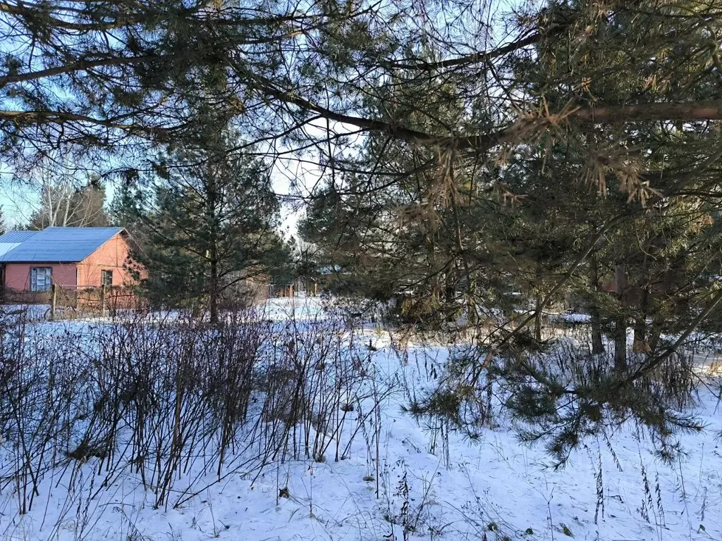 Участок в Московская область, Раменский муниципальный округ, Лесная ... - Фото 1