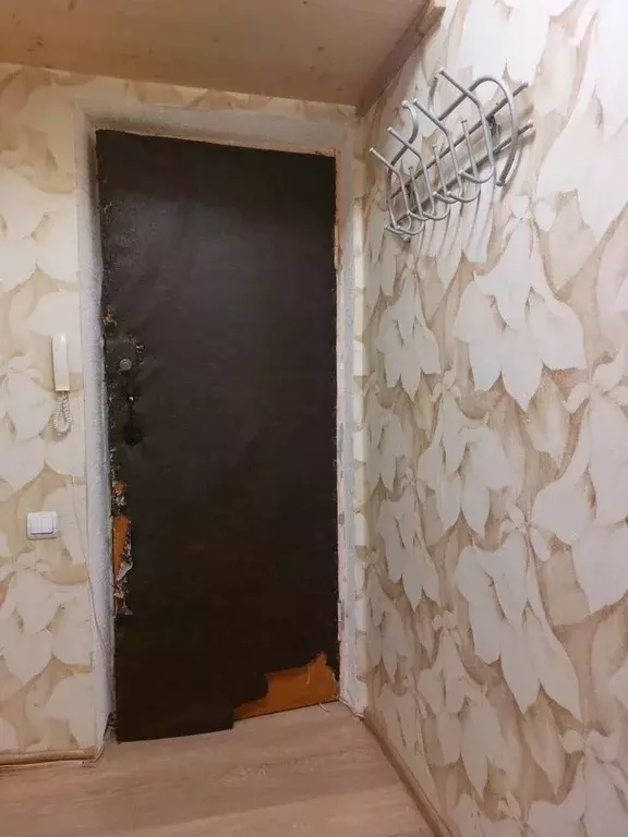 1-к кв. Московская область, Пушкинский городской округ, Лесной пгт ул. ... - Фото 2