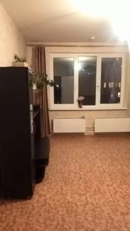 1-к кв. Нижегородская область, Нижний Новгород ул. Героя Шнитникова, 3 ... - Фото 1