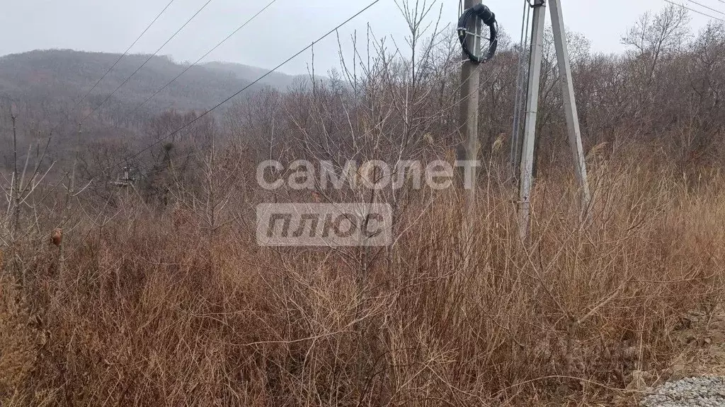 Участок в Приморский край, Хасанский муниципальный округ, с. Рисовая ... - Фото 2