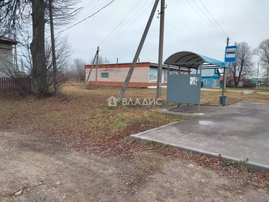 Дом в Рязанская область, Касимовский муниципальный округ, с. Погост ... - Фото 1