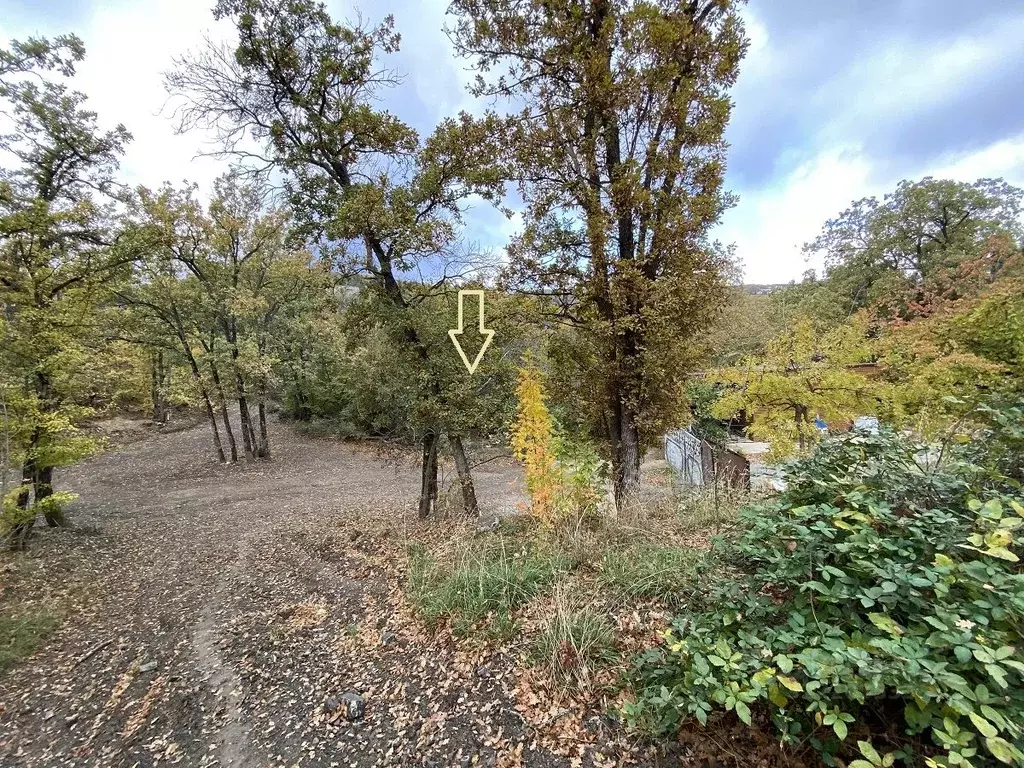 Участок в Крым, Алушта ул. Глазкрицкого (12.0 сот.) - Фото 1