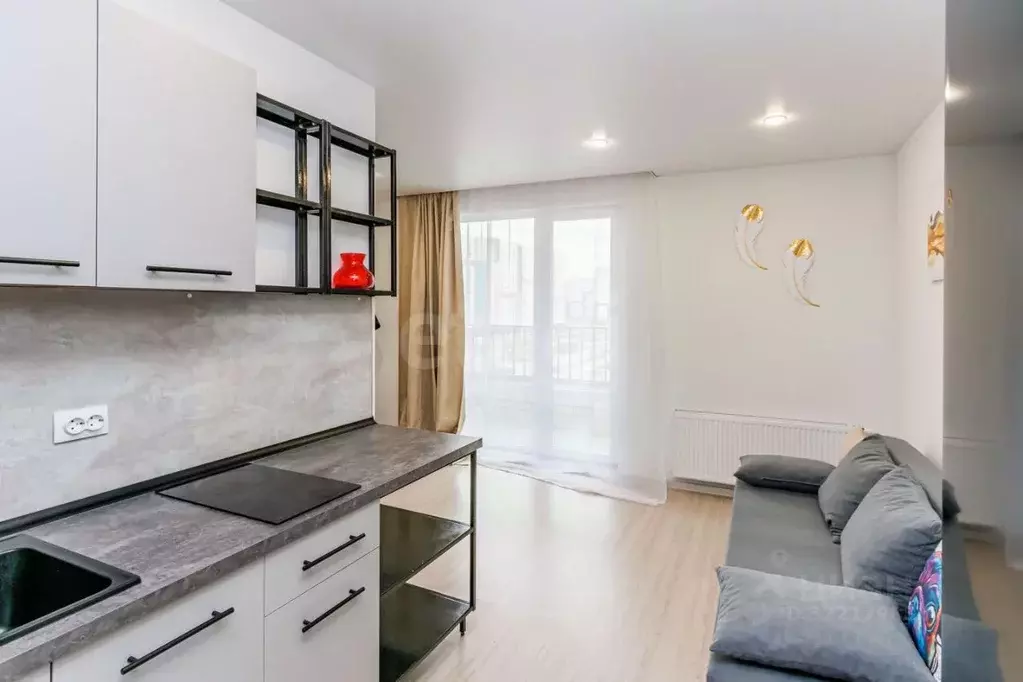 Студия Тюменская область, Тюменский муниципальный округ, д. Патрушева ... - Фото 1