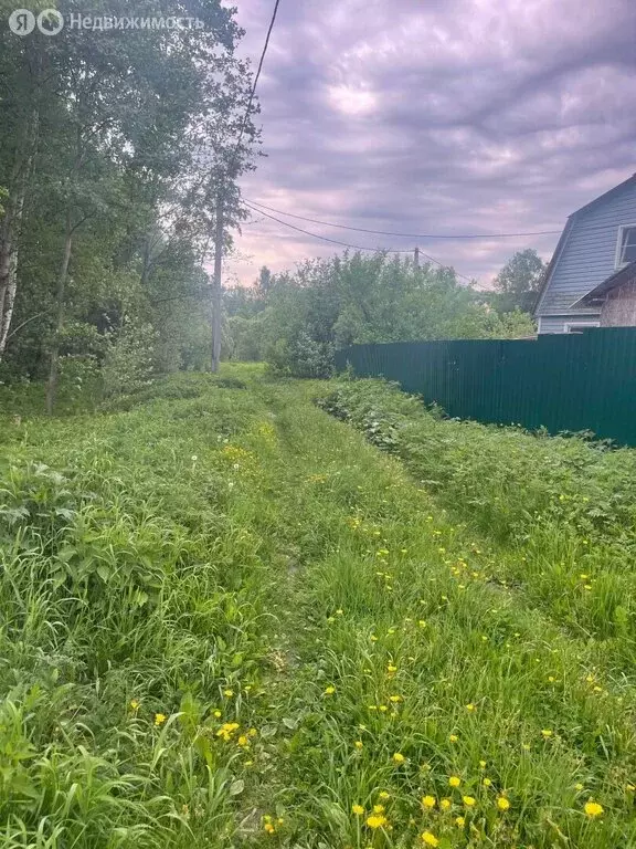 Участок в деревня Михали, улица 1 Мая, 69Д (8 м) - Фото 2