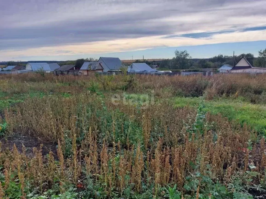 Участок в Мордовия, Лямбирский район, Болотниковское с/пос, д. ... - Фото 1