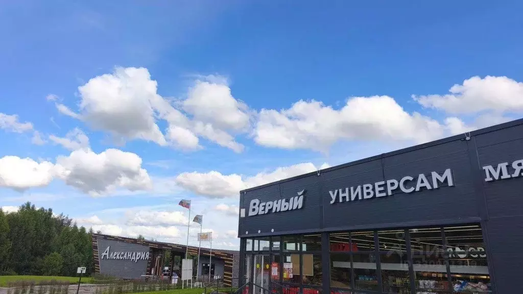 Участок в Свердловская область, Белоярский муниципальный округ, ... - Фото 2