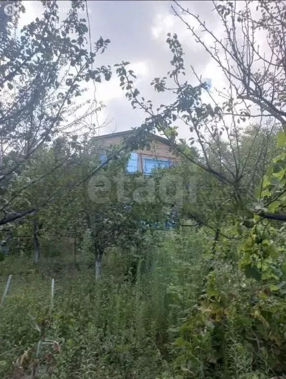 Дом в Мишкинское сельское поселение, садовые участки Родник (88 м) - Фото 2