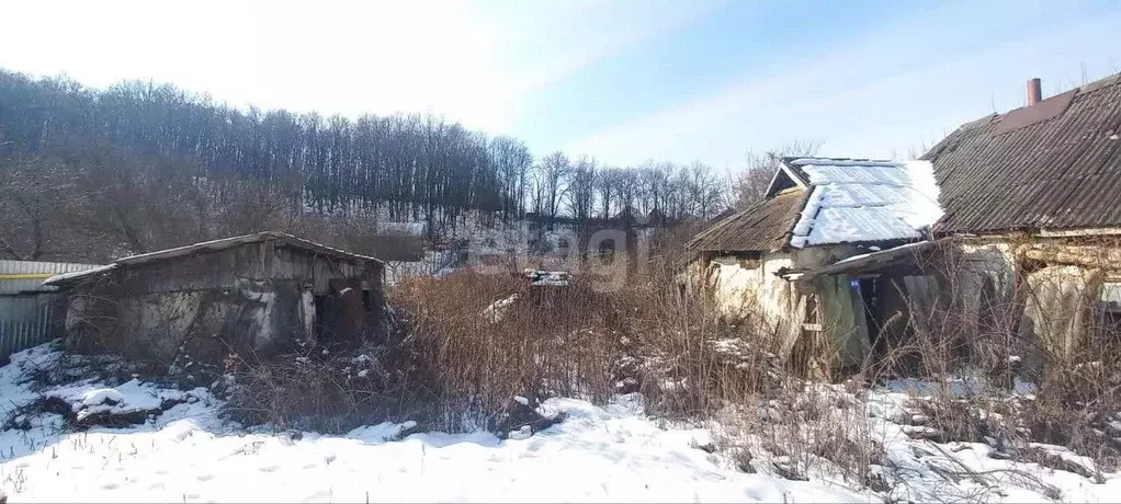 Участок в Белгородская область, Белгородский район, Тавровское с/пос, ... - Фото 0