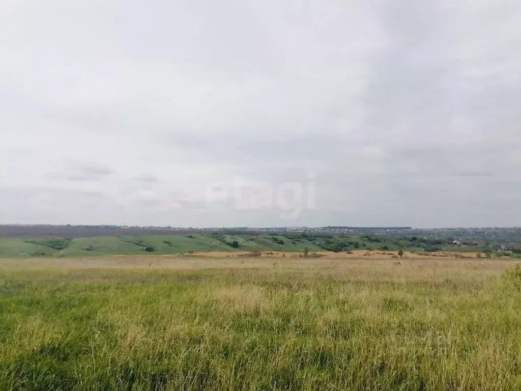 Участок в Белгородская область, Белгородский район, Головинское с/пос, ... - Фото 2
