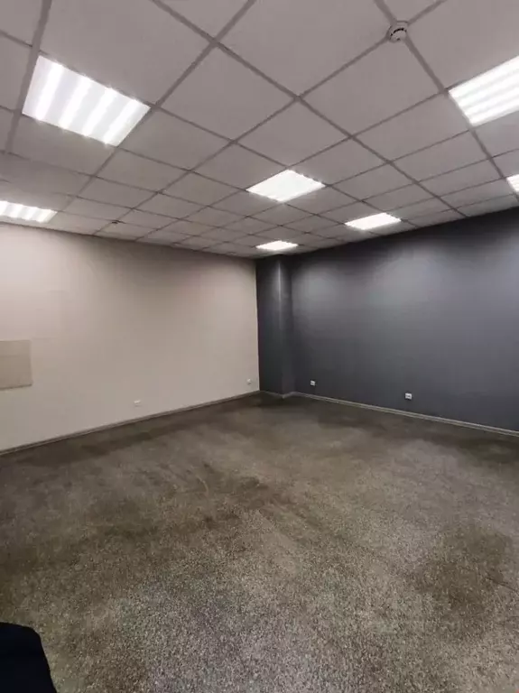 Помещение свободного назначения в Удмуртия, Ижевск ул. Пойма, 11 (62 ... - Фото 2