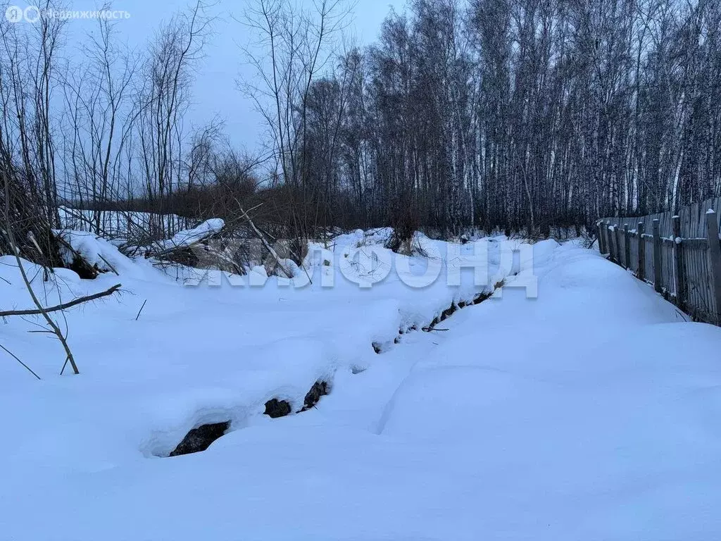 Участок в село Кубовая, Ягодная улица (12 м) - Фото 2