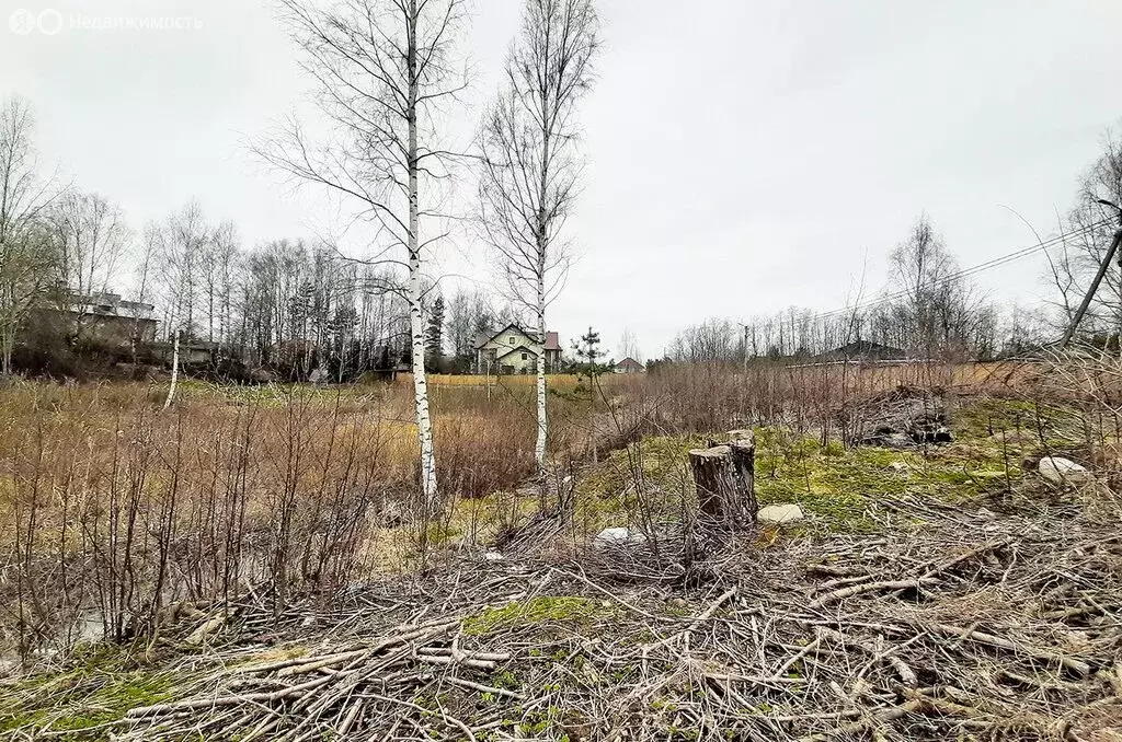 Участок в Всеволожск, Румболовская улица (60 м) - Фото 0