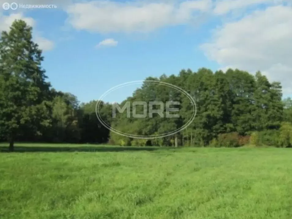 Участок в Калининградская область, Гурьевский муниципальный округ, ... - Фото 1