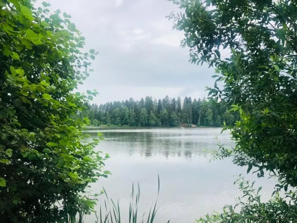 Участок в Ленинградская область, Выборгский район, Рощинское городское ... - Фото 0