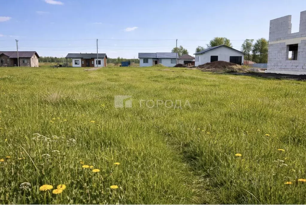 Участок в Новосибирская область, Мошковский район, Барлакский ... - Фото 2