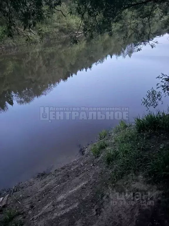 Участок в Смоленская область, Смоленский муниципальный округ, д. Борок ... - Фото 2