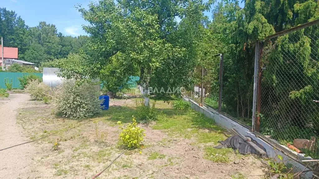 Участок в Калининградская область, Калининград Дивное СНТ, ул. Дивная ... - Фото 0