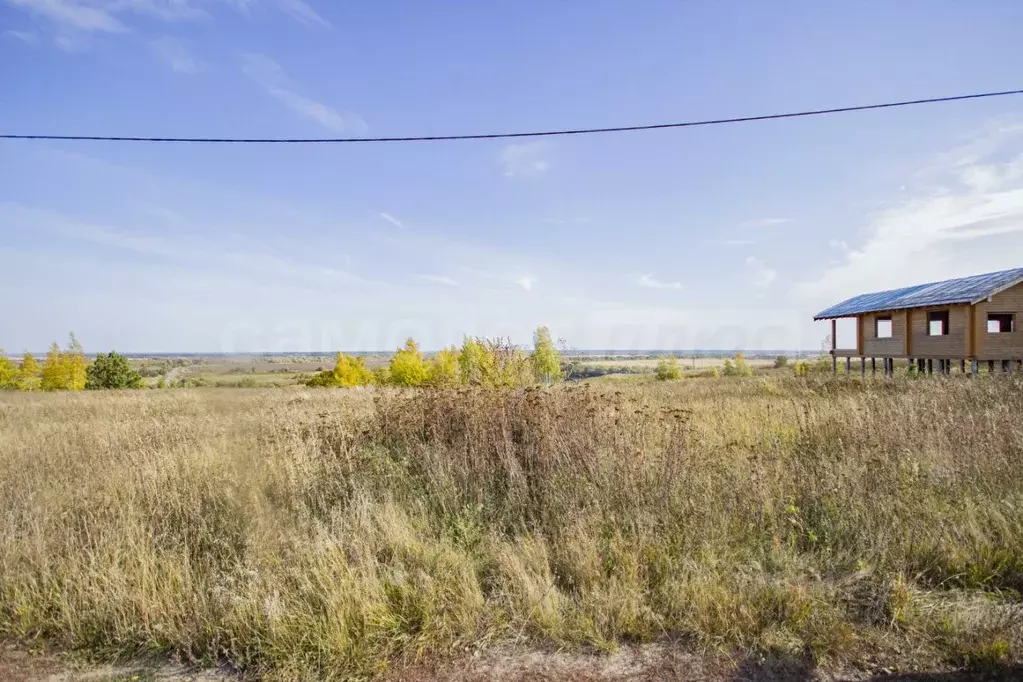 Участок в Московская область, Луховицы муниципальный округ, д. ... - Фото 1