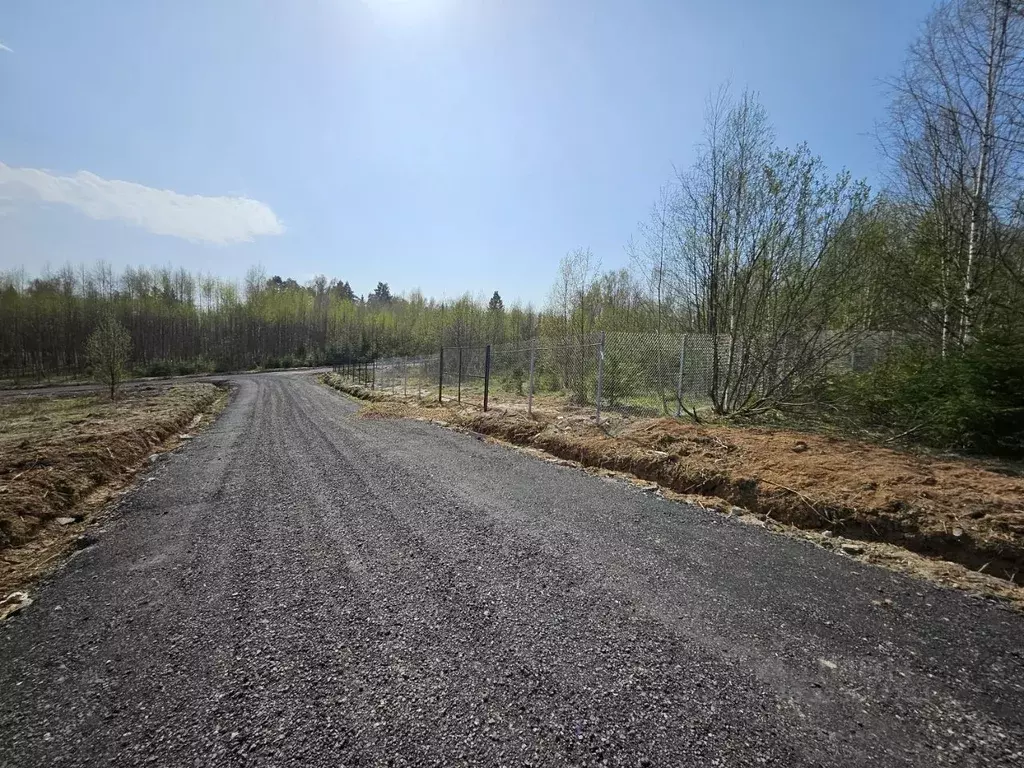 Участок в Московская область, Дмитровский муниципальный округ, д. ... - Фото 2