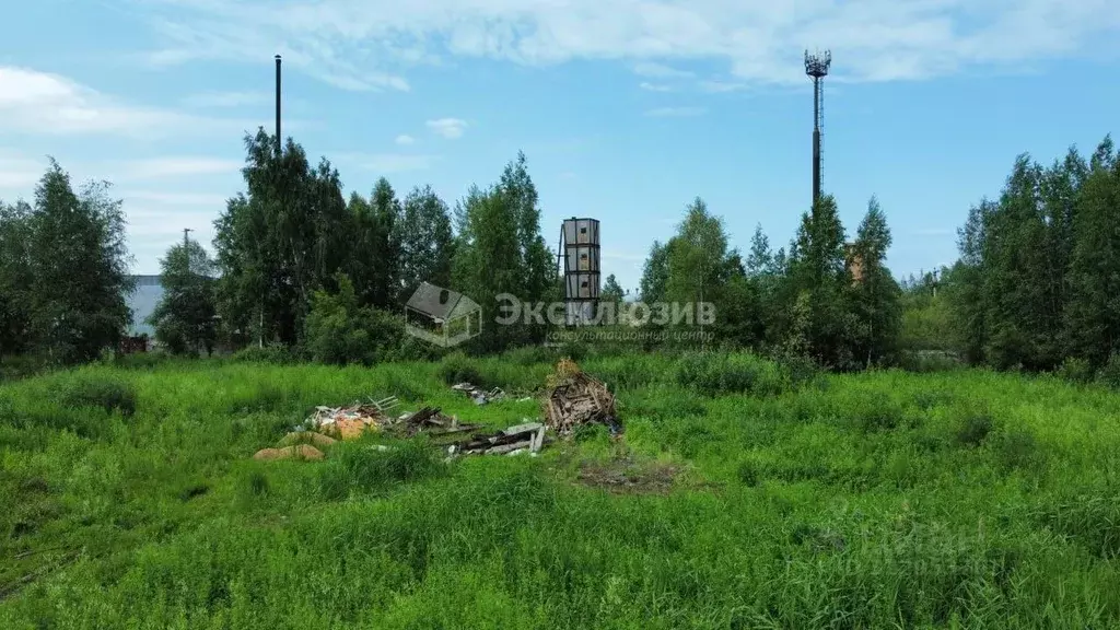 Склад в Тюменская область, Тюменский муниципальный округ, Боровский ... - Фото 1