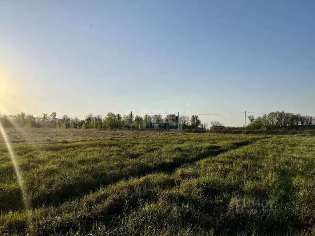 Участок в Курская область, Курск ул. Комдива Высоцкого (10.0 сот.) - Фото 1