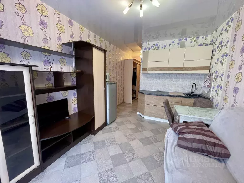 Студия Новосибирская область, Новосибирск ул. Виктора Уса, 15 (20.0 м) - Фото 1
