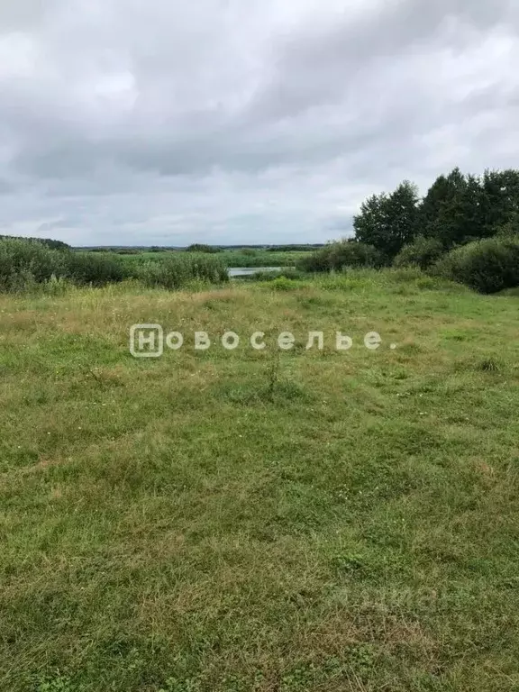 Участок в Рязанская область, Клепиковский муниципальный округ, д. ... - Фото 1