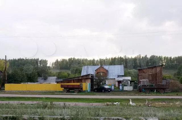 Карта староалейское с улицами третьяковский район