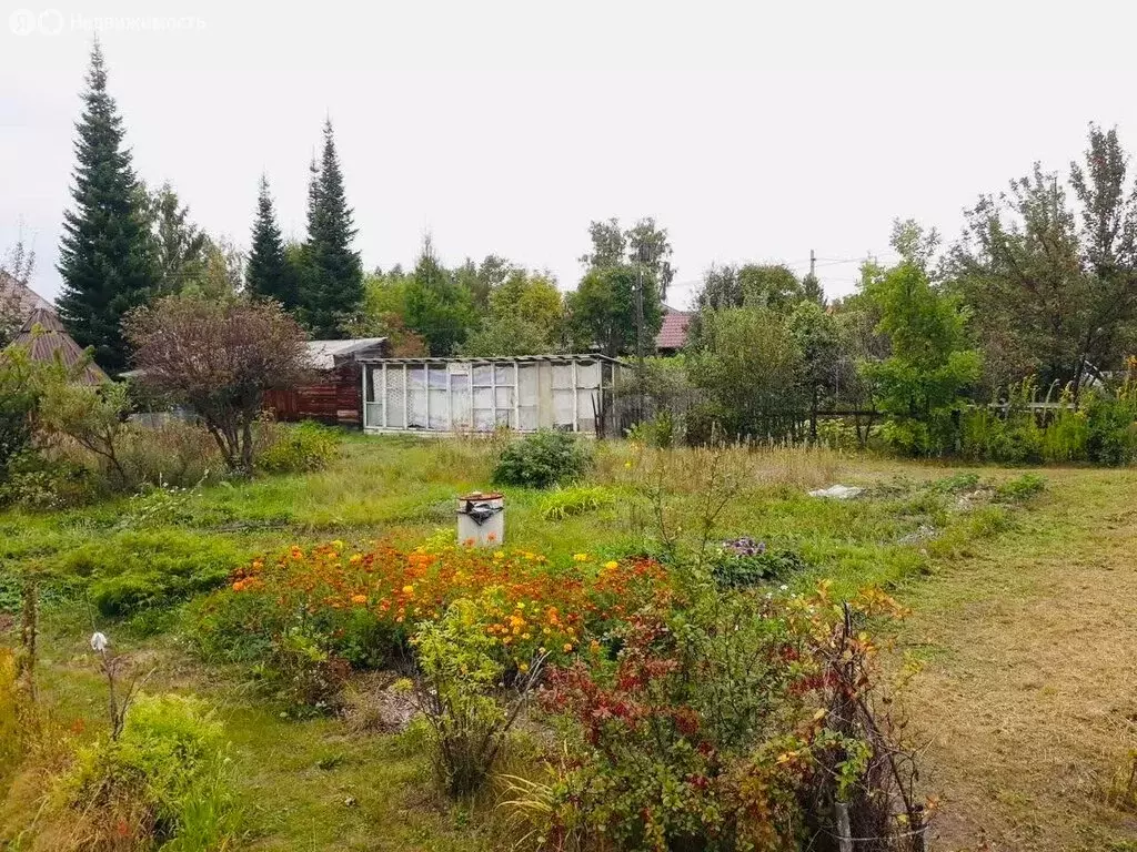 Участок в Курганская область, Кетовский муниципальный округ, СНТ УВД ... - Фото 1