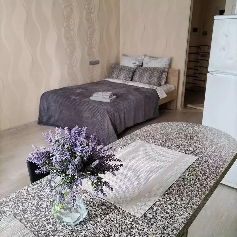 Студия Московская область, Раменское Высоковольтная ул., 22 (33.0 м) - Фото 2