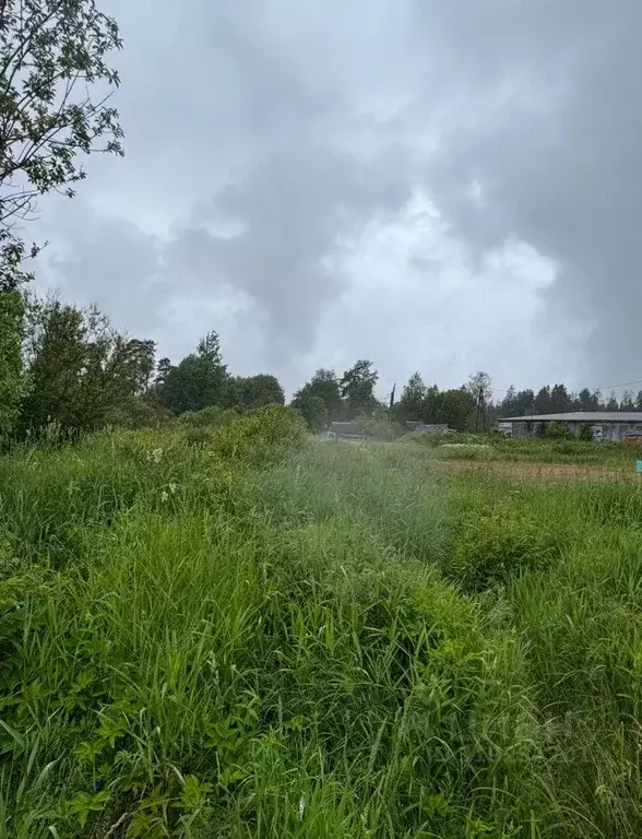 Участок, 10 сот., 0 - Фото 0