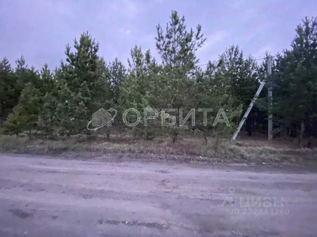 Участок в Свердловская область, Тугулым пгт  (16.0 сот.) - Фото 1