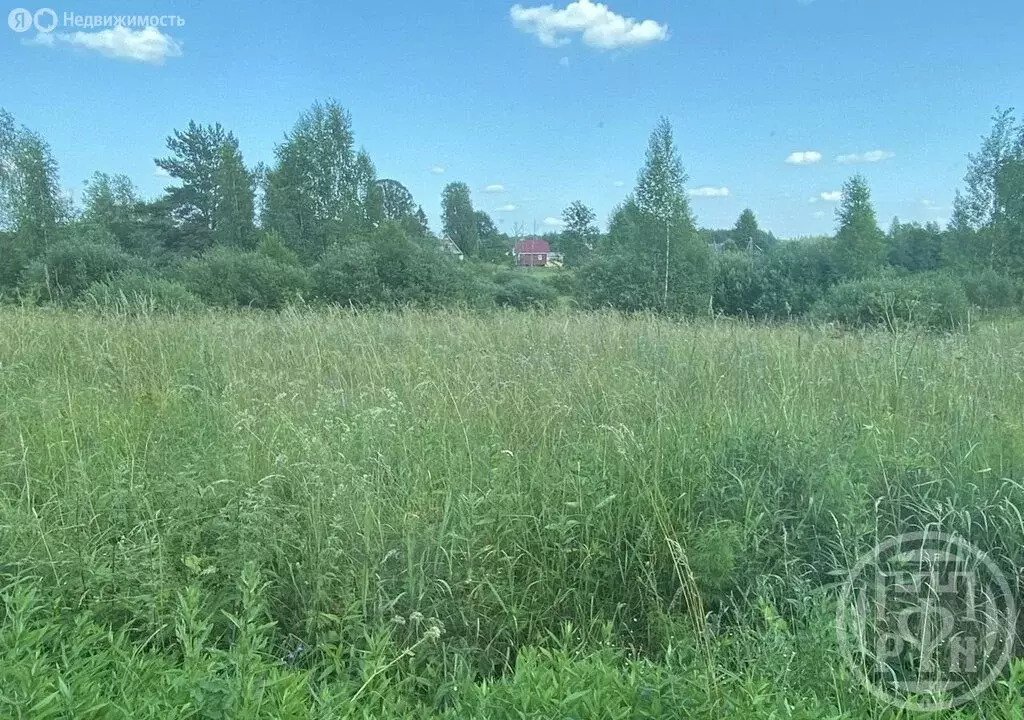 Участок в Псковская область, Плюсский муниципальный округ, деревня ... - Фото 1