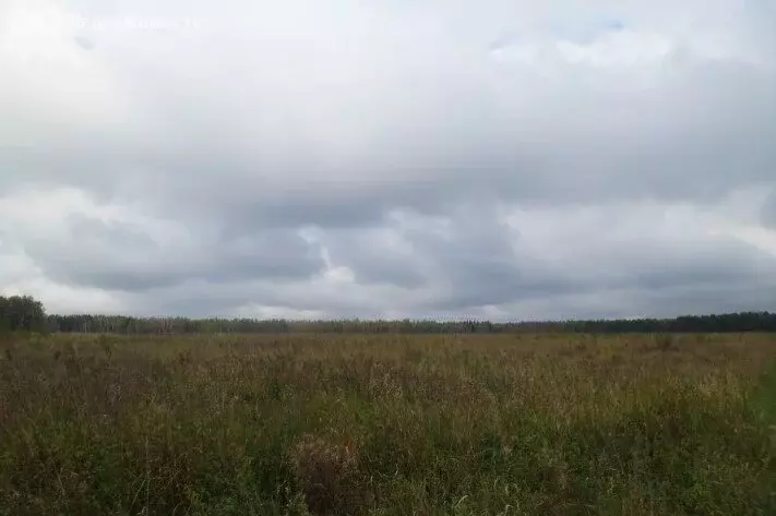 Участок в Москва, ТАО, район Вороново, квартал № 886 (10700 м) - Фото 2